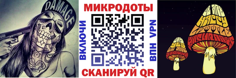 shop какой сайт  наркошоп  Шахунья  Псилоцибиновые грибы прущие грибы 