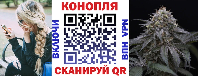 МАРИХУАНА ГИДРОПОН  blacksprut как войти  Шахунья 